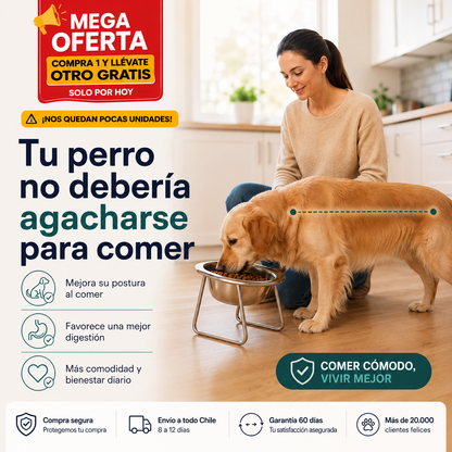 ErgoPet® El plato ergonómico con inclinación de 15°