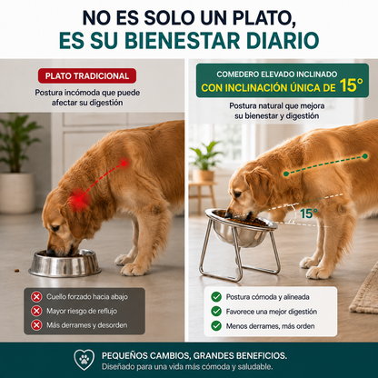ErgoPet® El plato ergonómico con inclinación de 15°